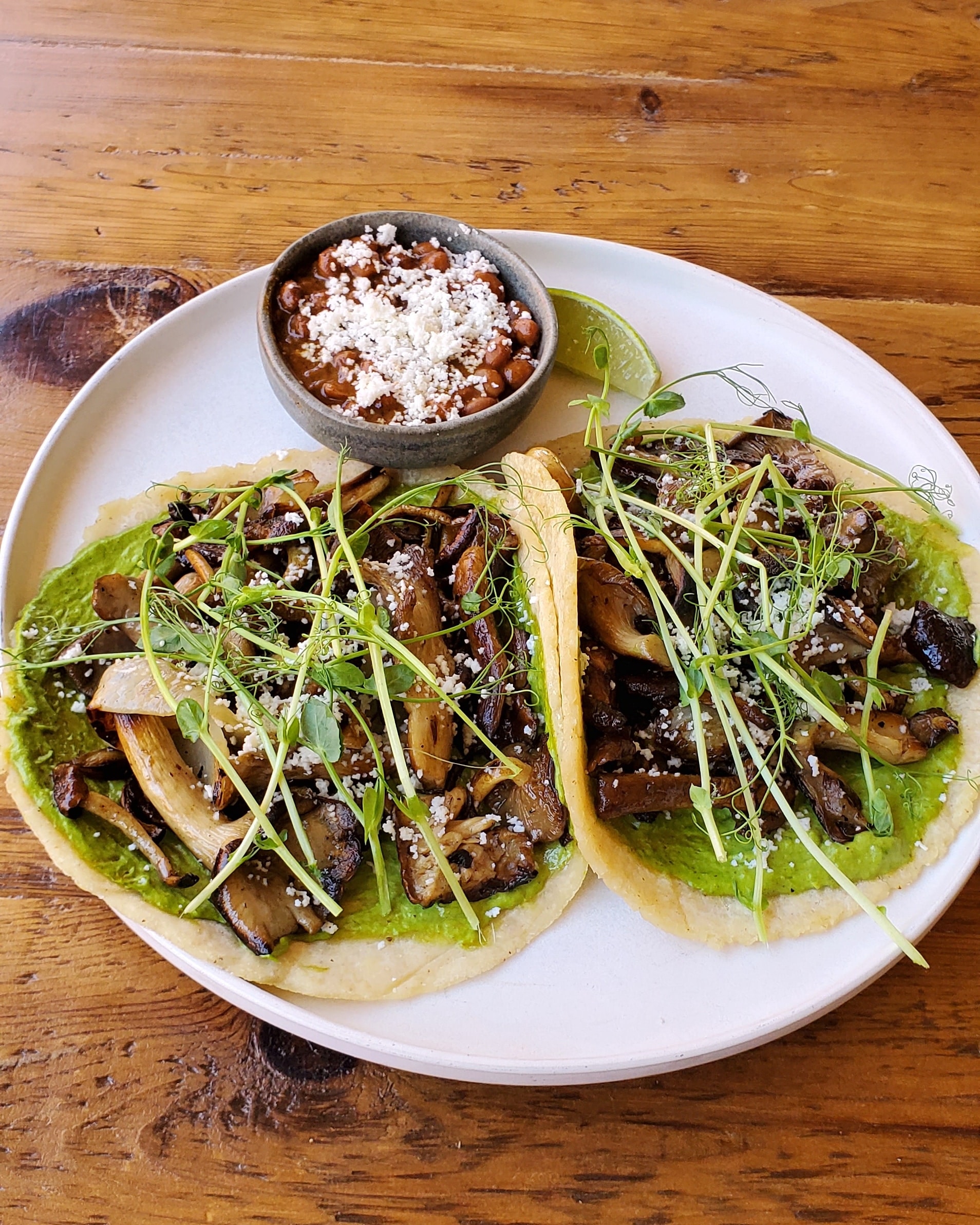Mushroom Tacos Mushroom Tacos