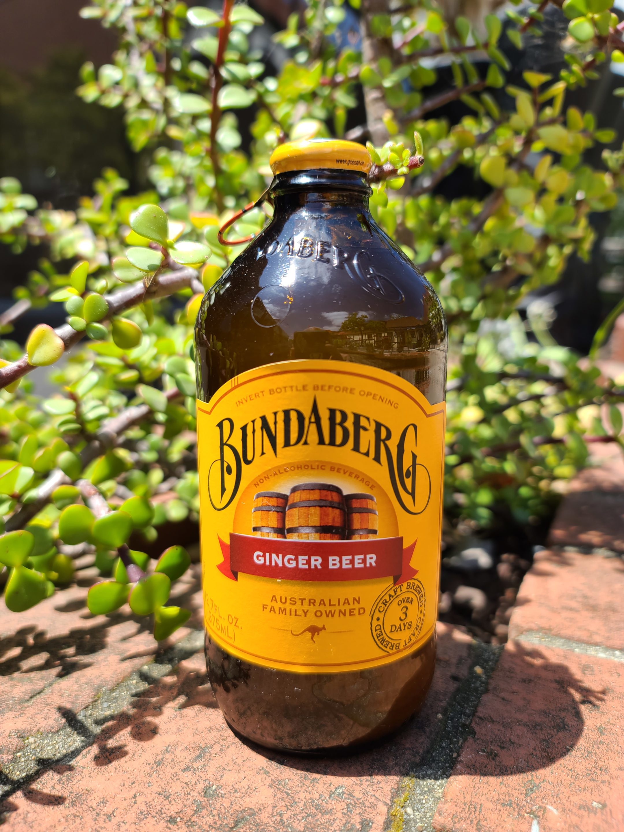 Bundaberg Ginger Beer peasants FEAST